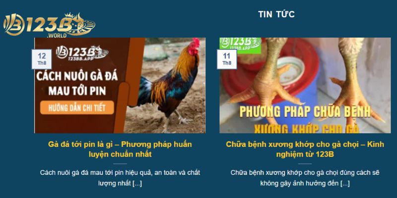 Giới thiệu chuyên mục tin tức 123bb