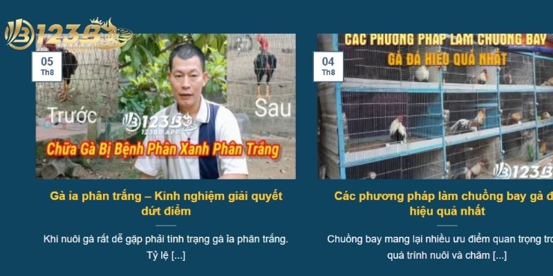 Những tin tức có ở hướng dẫn 123bb
